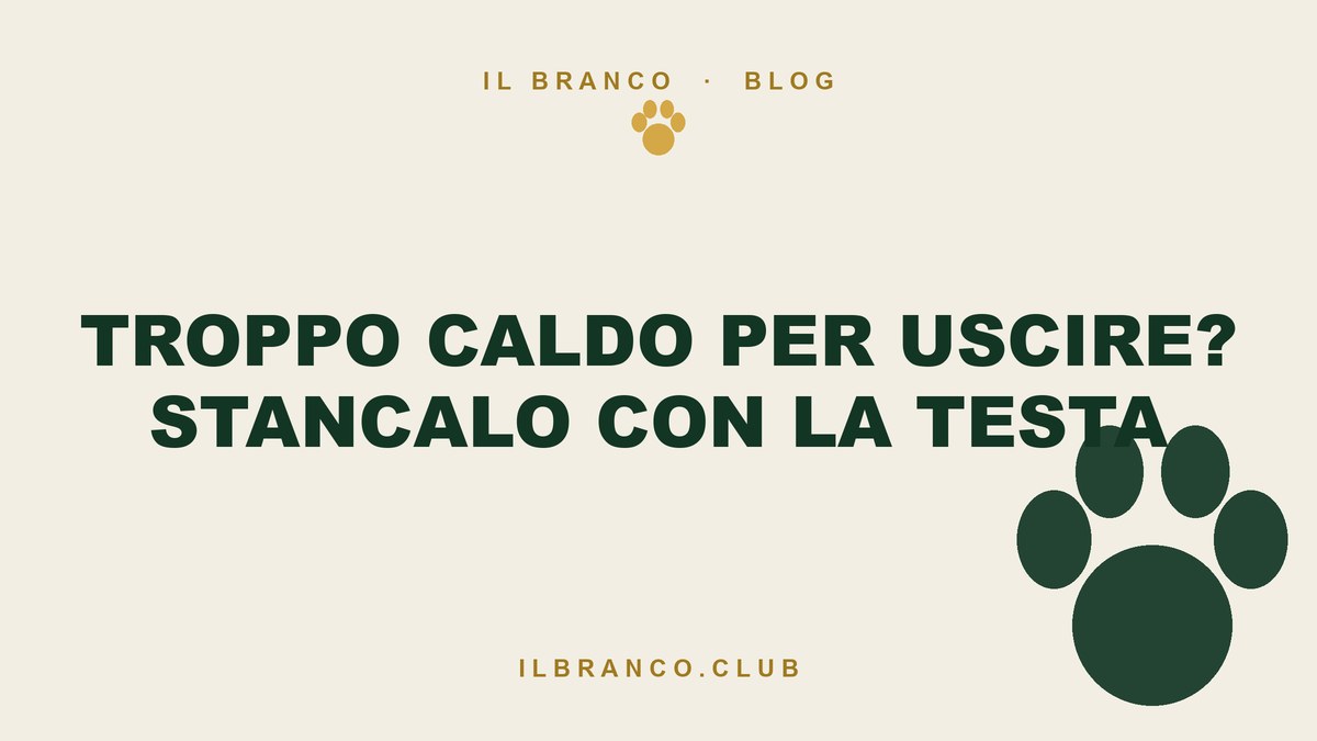 Cane annoiato dal caldo: stancarlo con la testa senza uscire