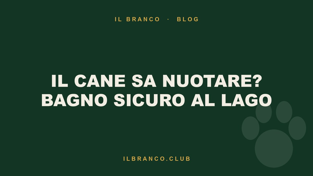 Bagno al lago col cane: shock termico, alghe e le regole che contano