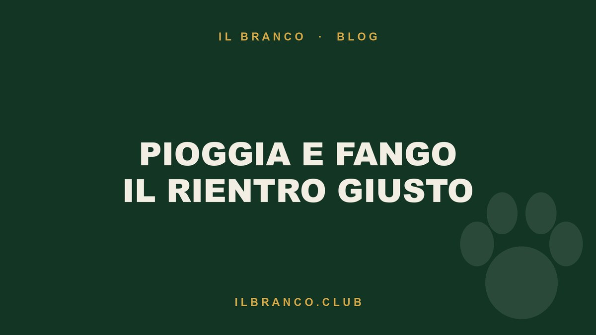 Pioggia, fango e pozzanghere: il rientro dalla passeggiata fatto bene