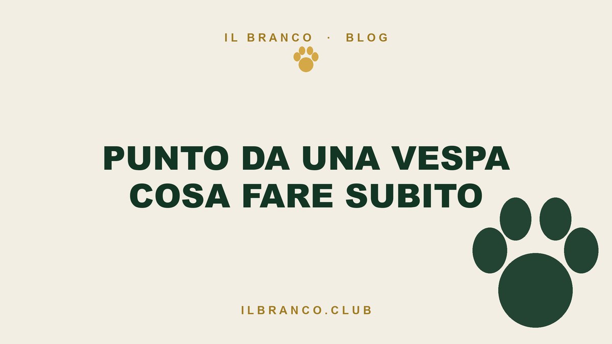 Il cane punto da una vespa o da un’ape: cosa fare subito