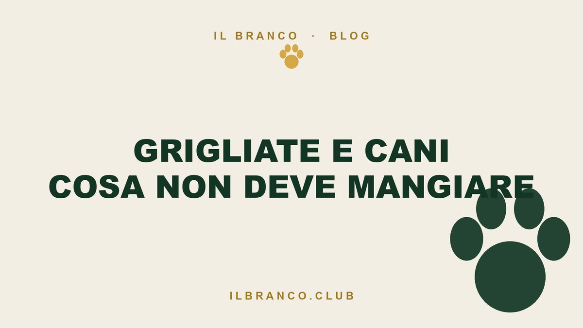Grigliate e cibi d'estate: cosa non deve mangiare il cane
