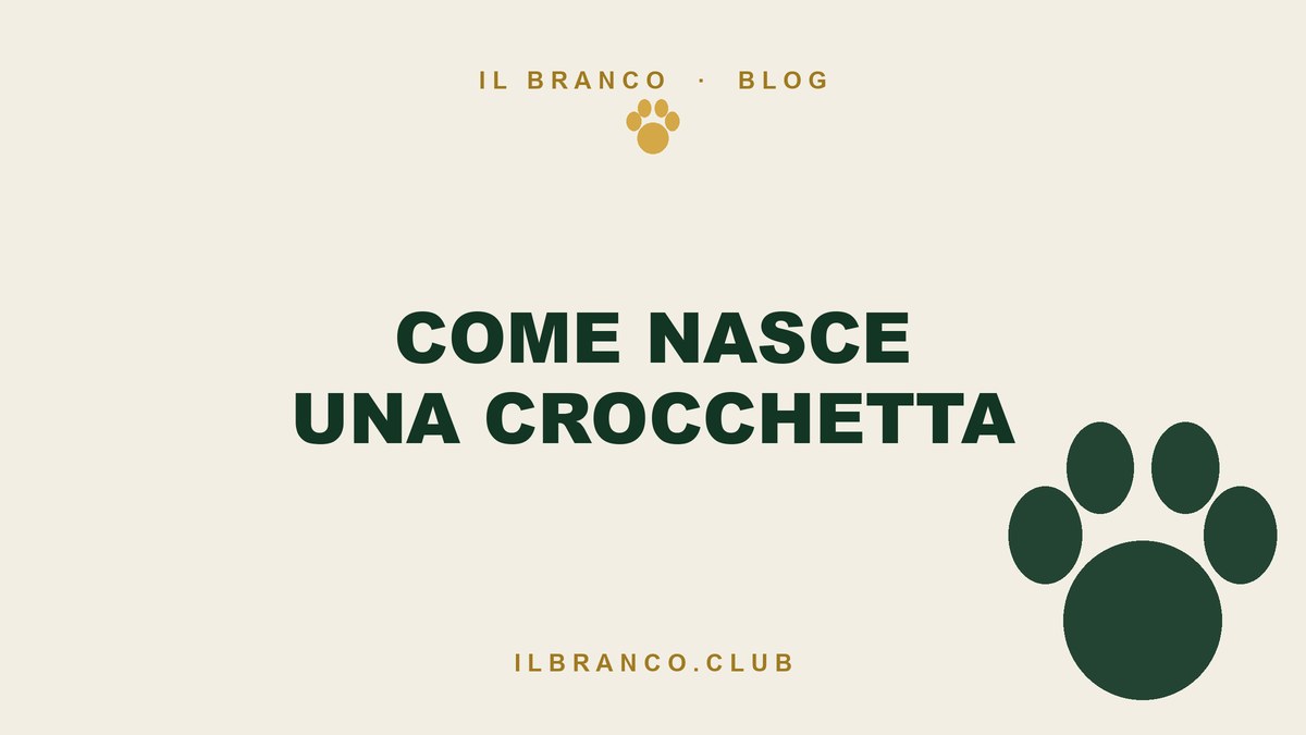 Sai come nasce una crocchetta? L'estrusore, il calore e cosa conta davvero