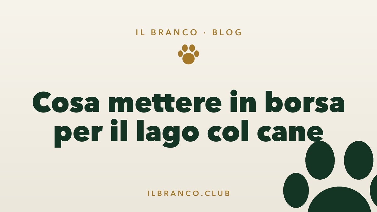 Giornata al lago col cane: la checklist di cosa portare