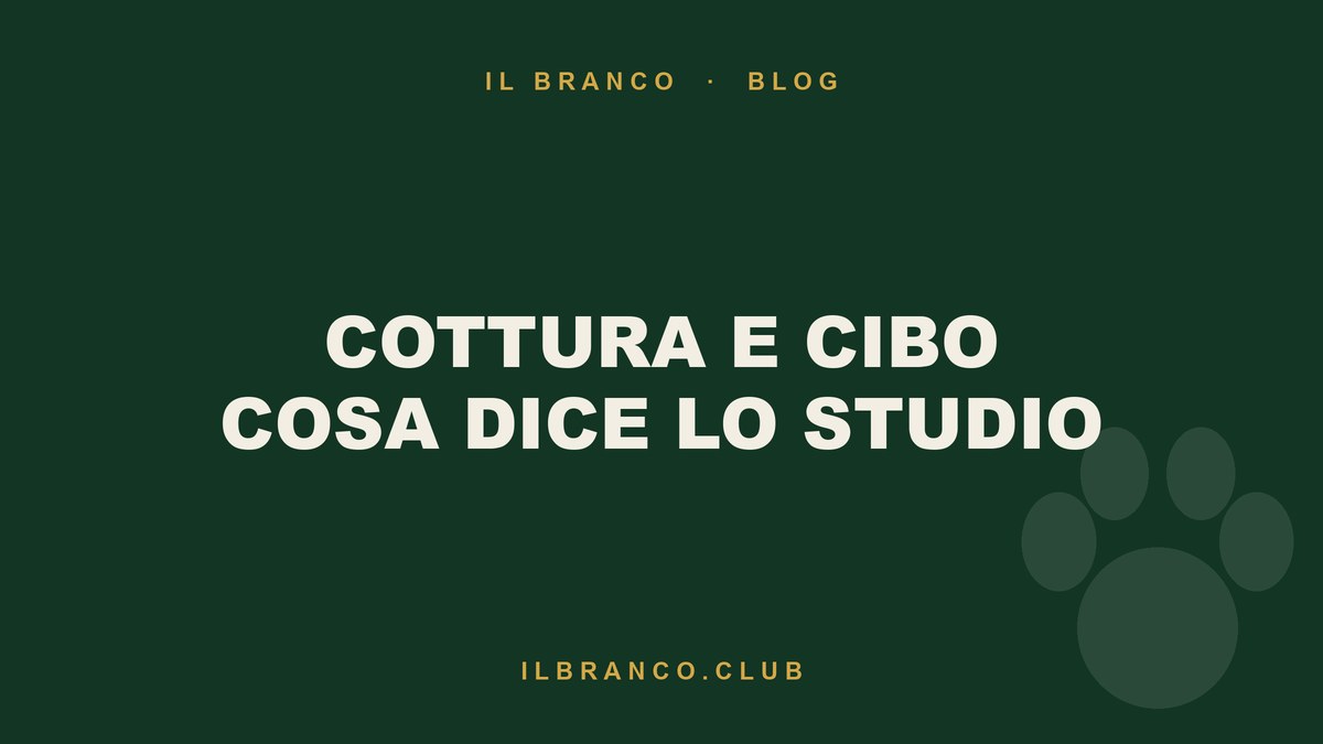 Cottura e cibo per cani: cosa dice (e cosa non dice) lo studio di Wageningen