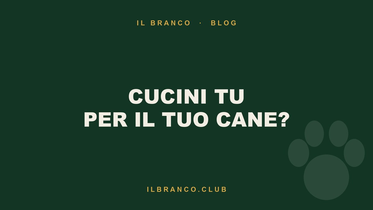 Cucini tu per il tuo cane? Le 200 ricette controllate
