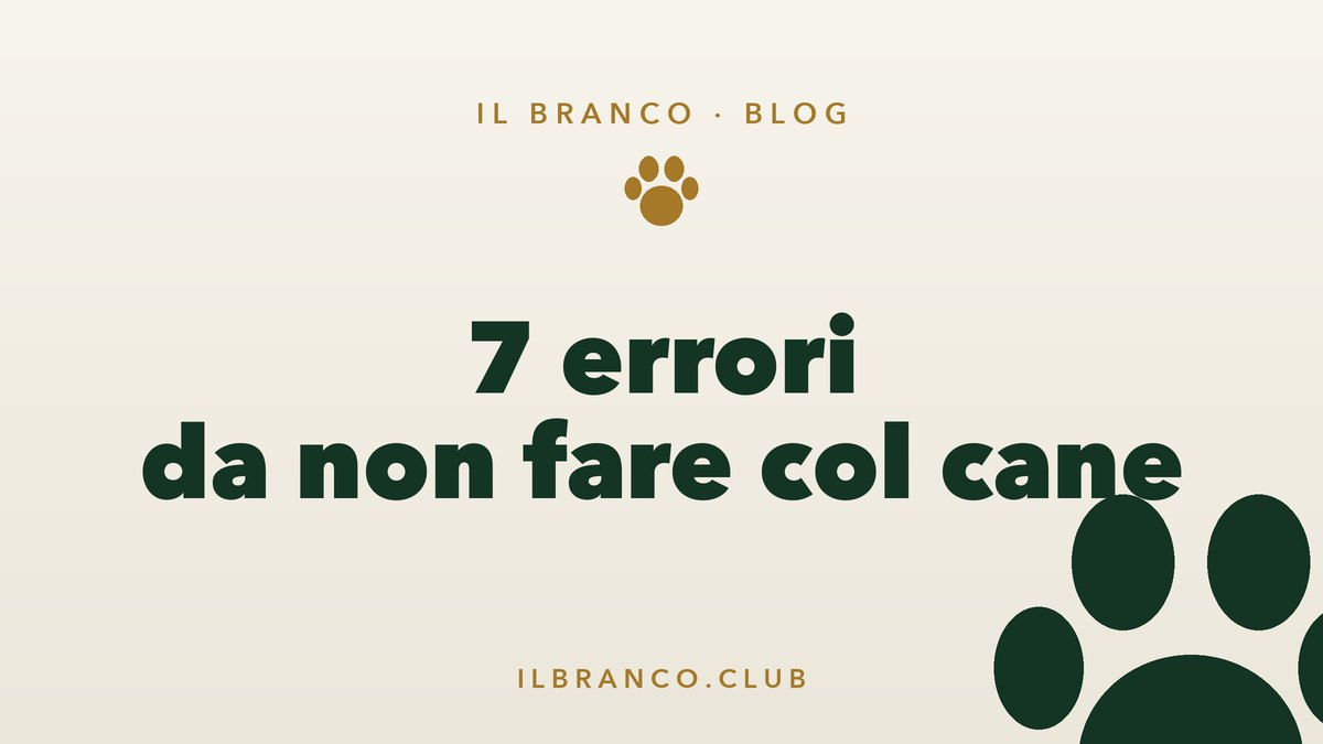 Educazione del cane: 7 errori comuni (e come evitarli)