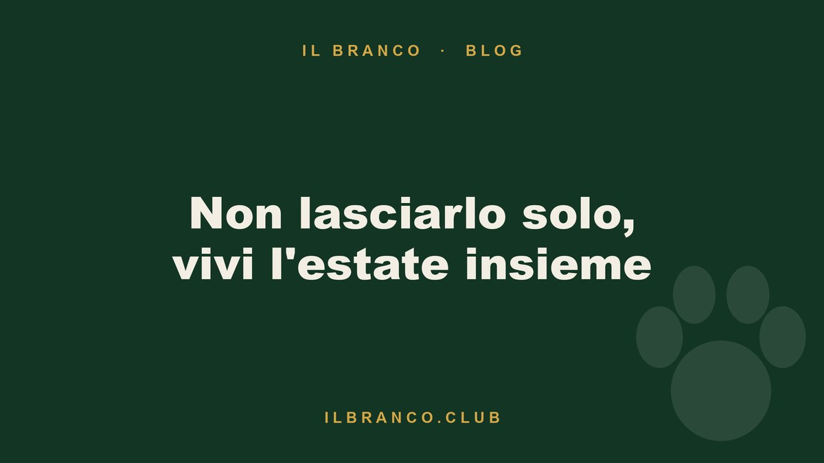 Due cani insieme all'aperto: l'estate è il momento di stare vicini, non di lasciarli soli