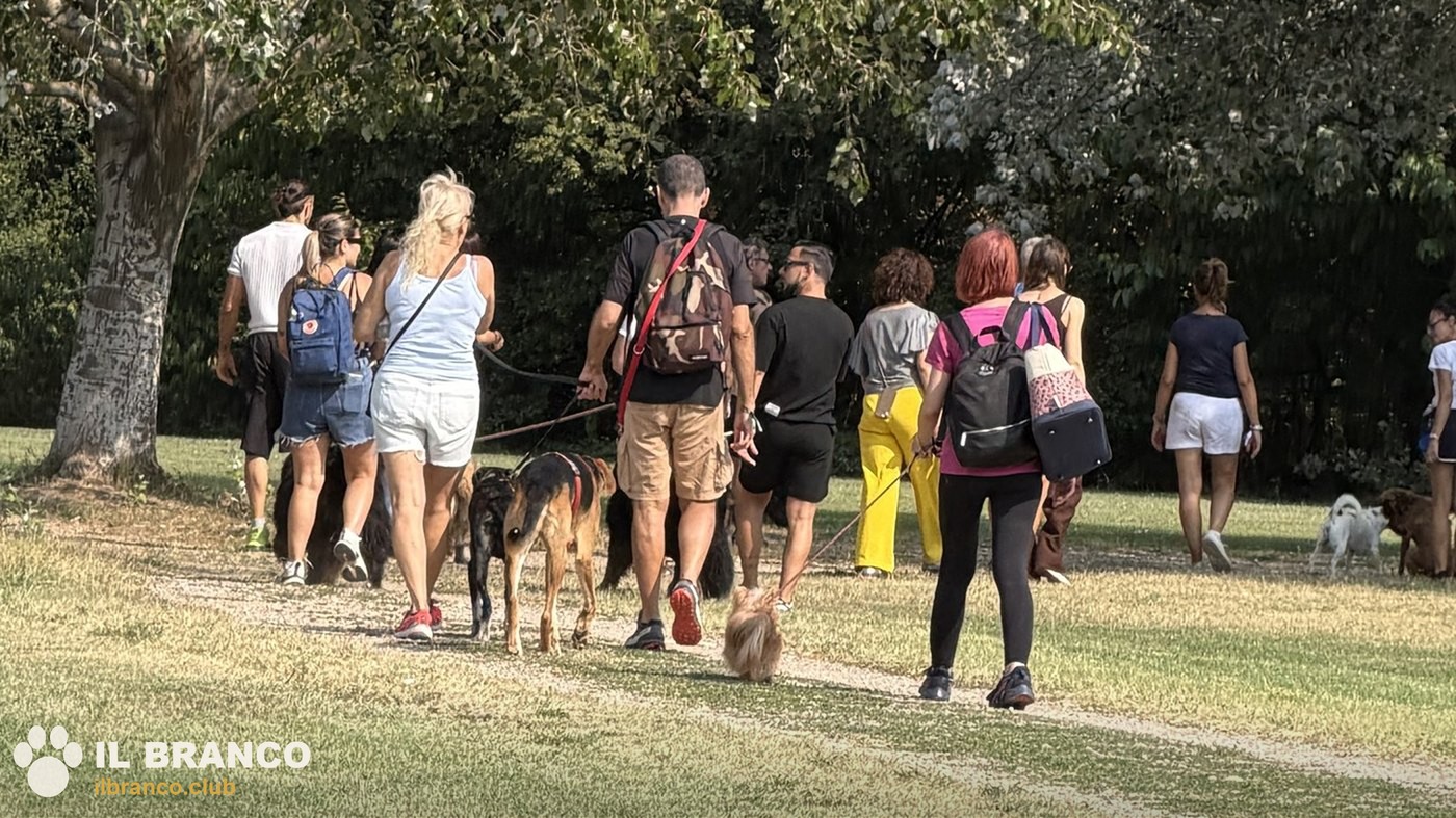 Il gruppo del Branco cammina lungo il sentiero con i cani, ripreso di spalle
