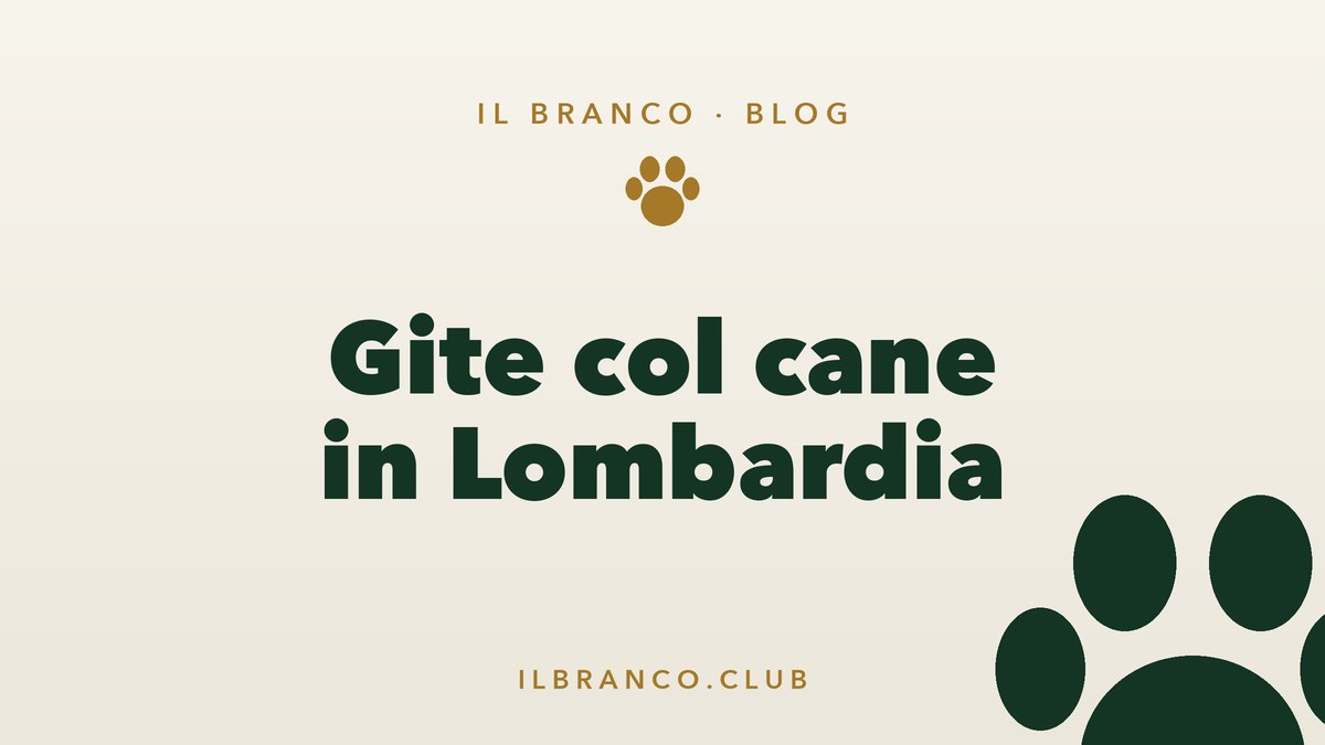 Gite e weekend col cane in Lombardia: idee per ogni stagione