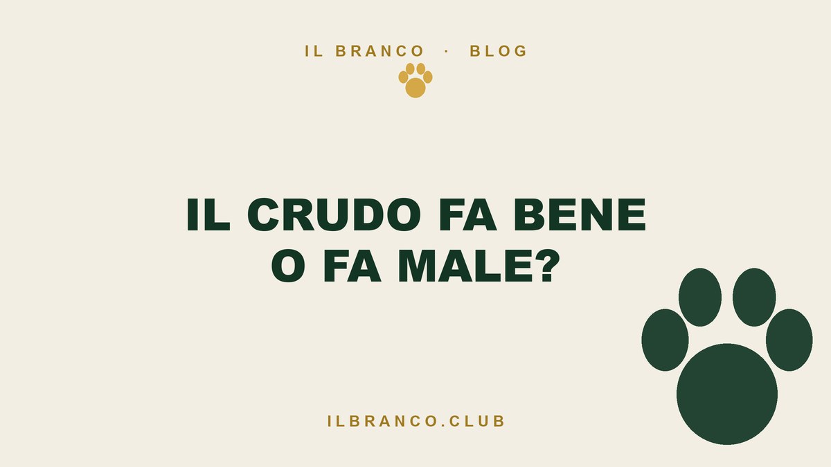 Il crudo fa bene o fa male? I 35 prodotti analizzati