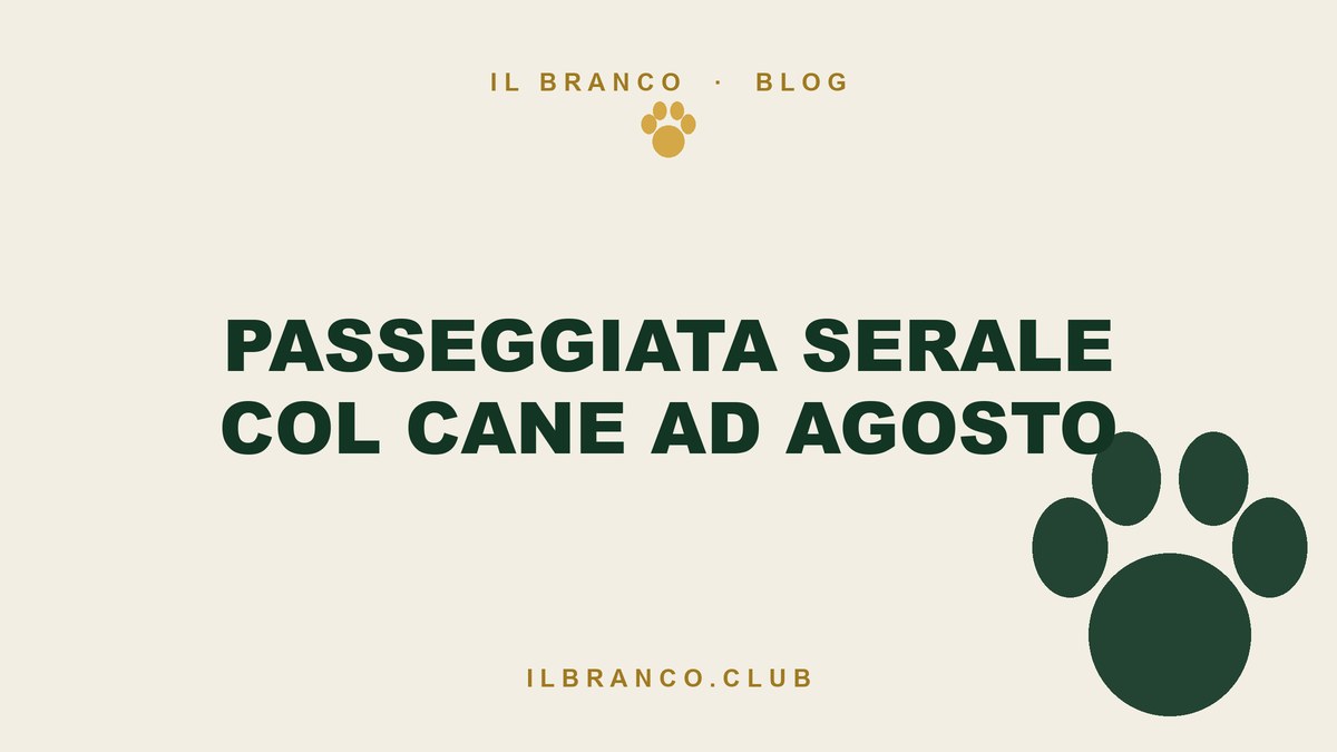 Passeggiata serale col cane ad agosto: uscire col buio in sicurezza