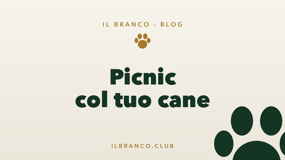 Picnic e pranzo all'aperto col cane: idee e regole