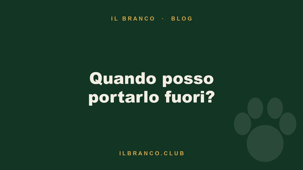 Quando posso portare fuori il cucciolo? Vaccini e tempi
