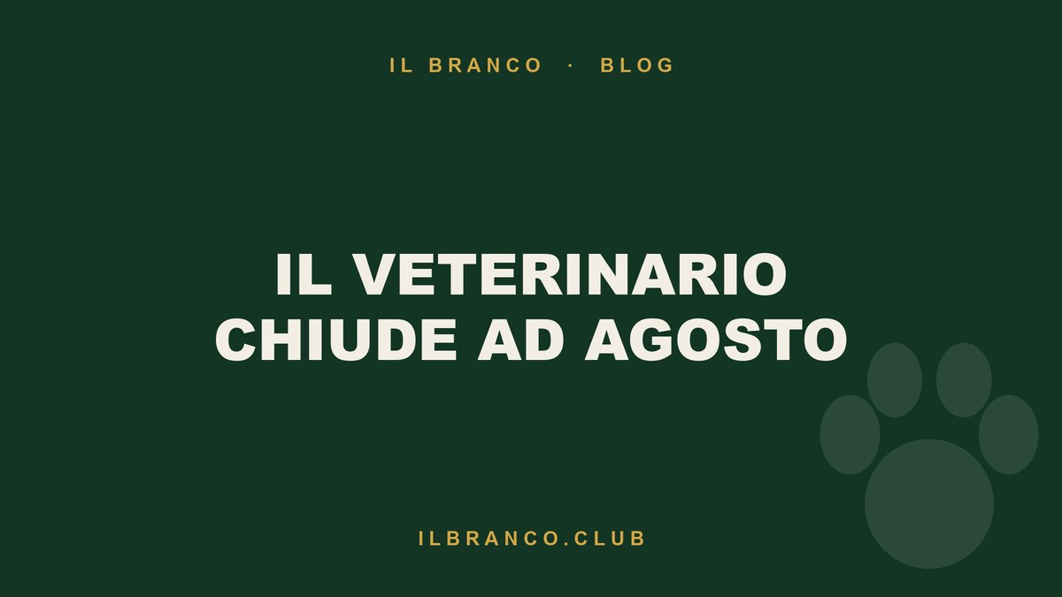 Il veterinario chiude per ferie: il piano B per agosto col cane