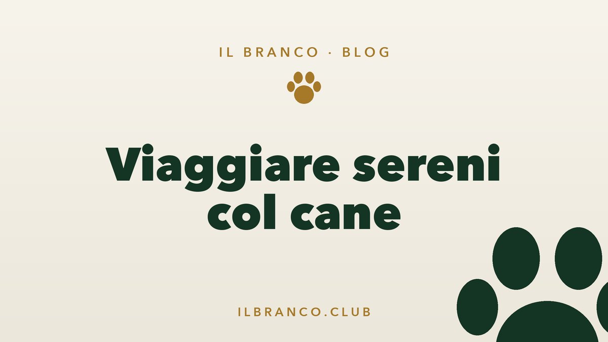 Viaggiare col cane senza stress: auto, treno e pullman