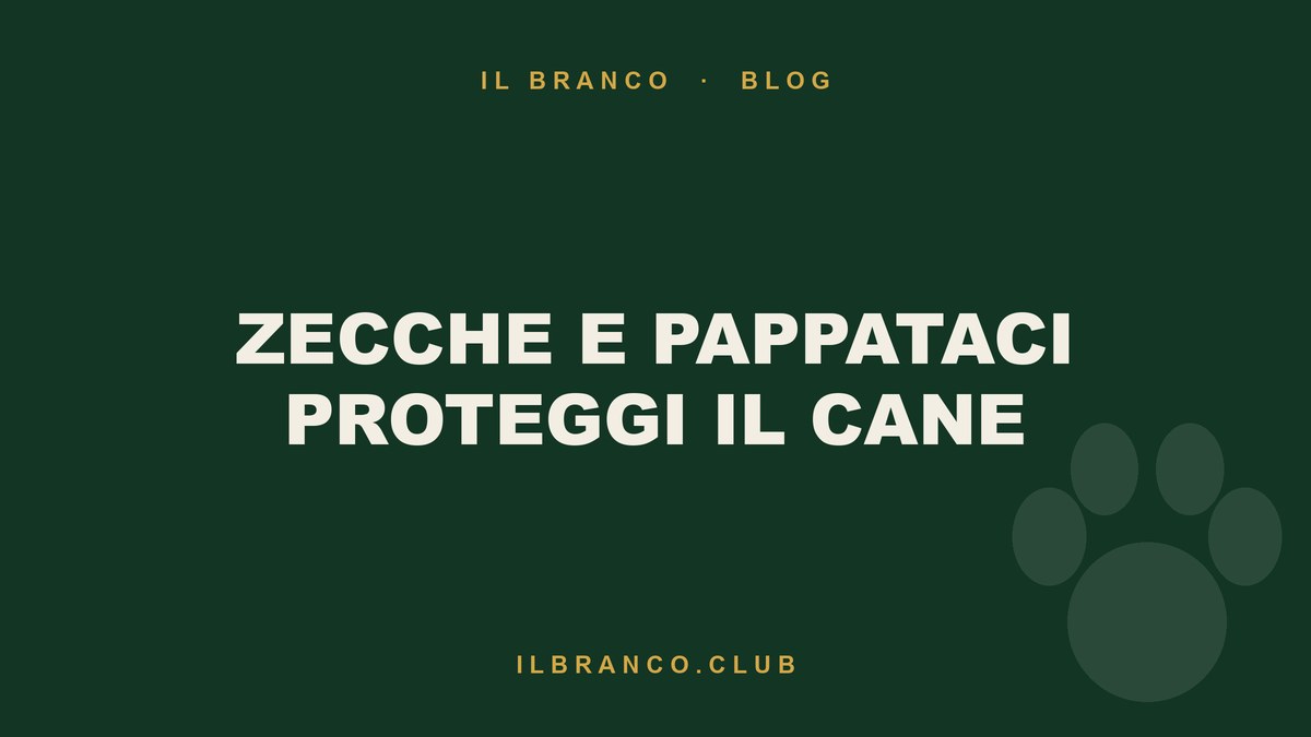 Zecche, pulci e pappataci: proteggere il cane a fine estate