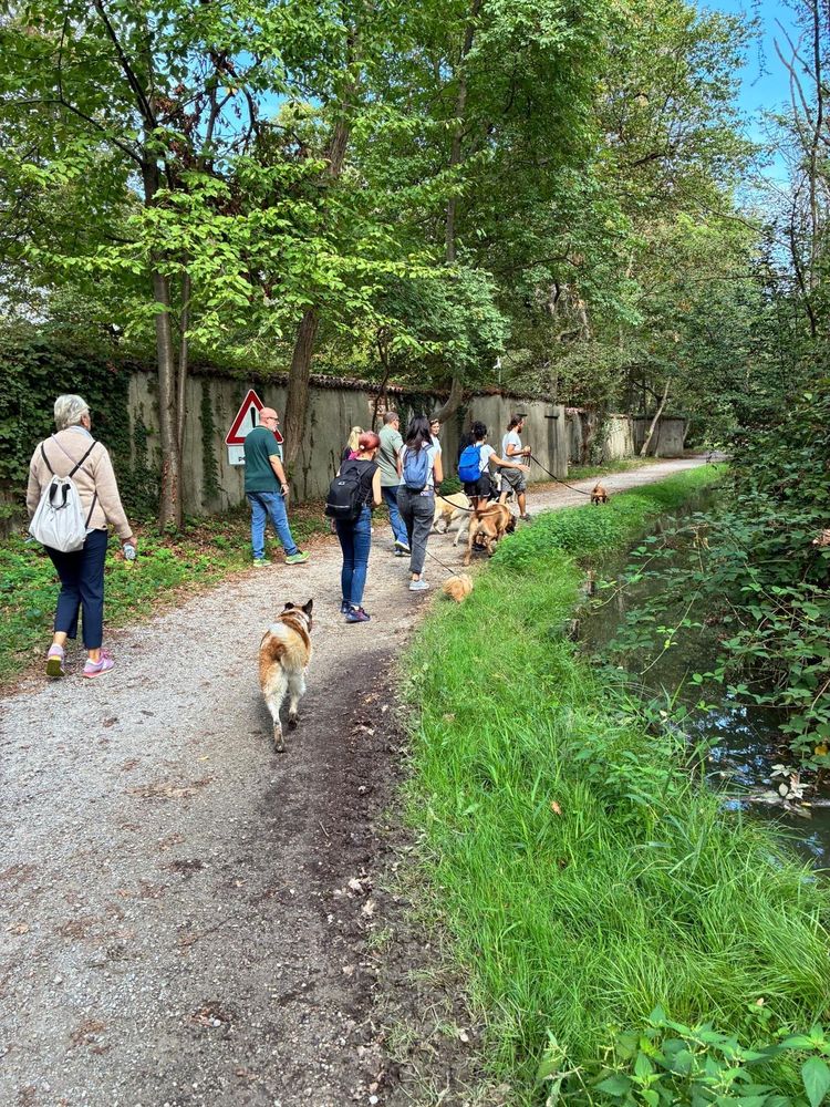 La passeggiata lungo il canale