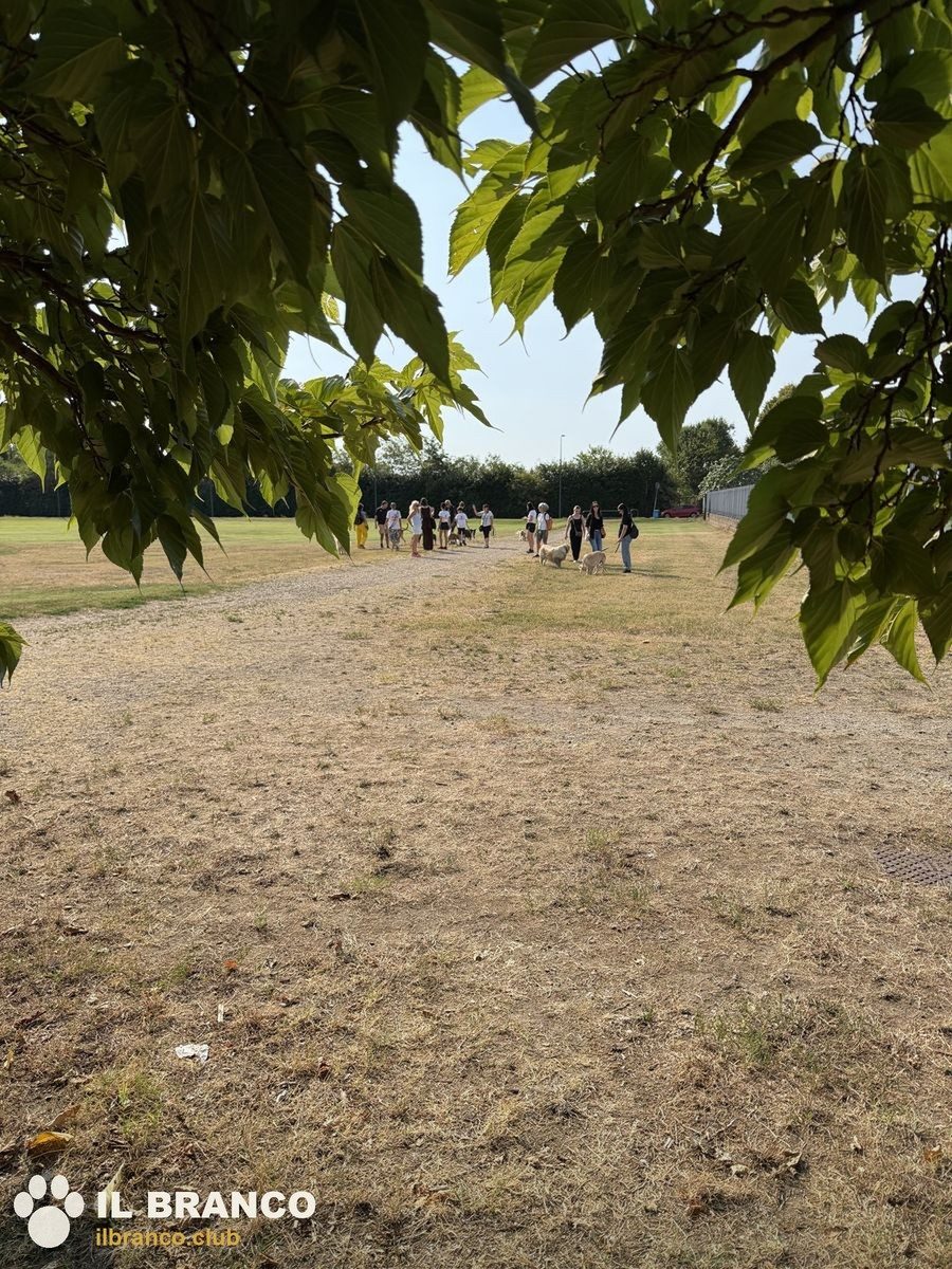 Il gruppo cammina nel prato del Bosco in Città
