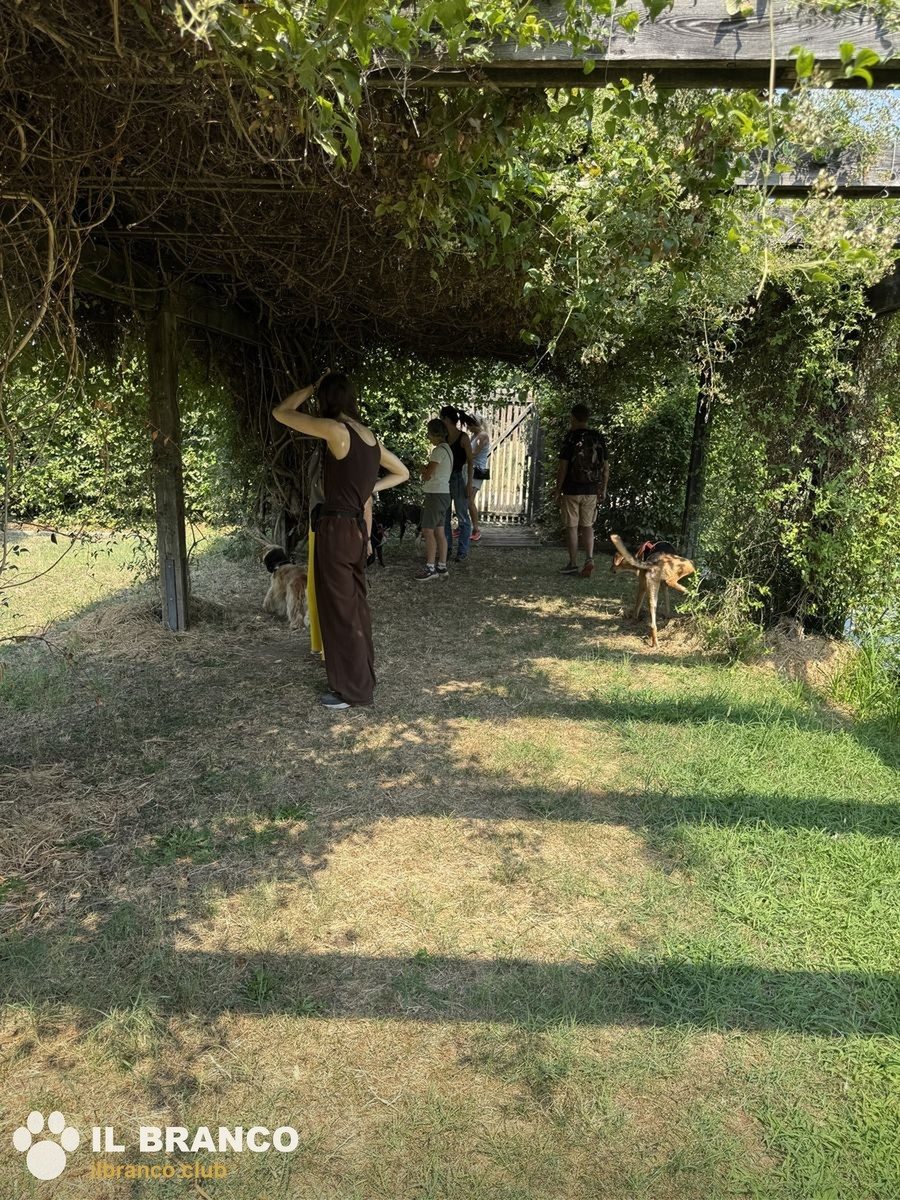 Il gruppo attraversa il bosco