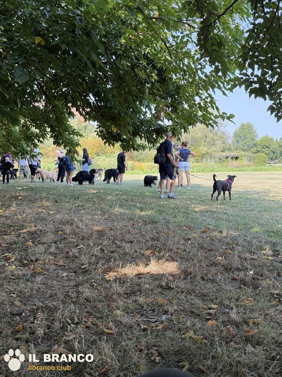 Il gruppo sotto gli alberi
