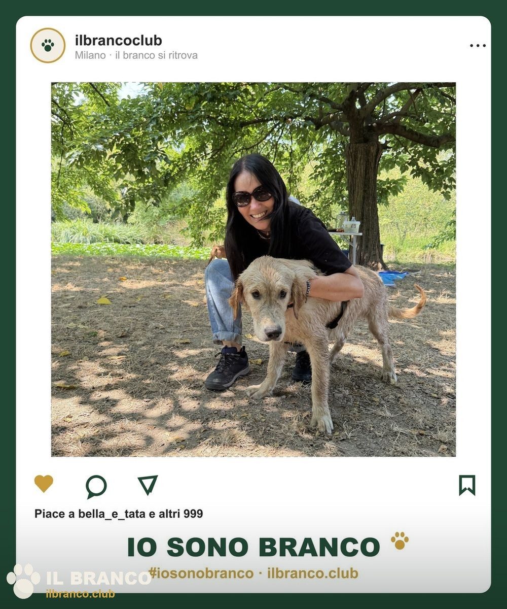 Insieme durante la giornata