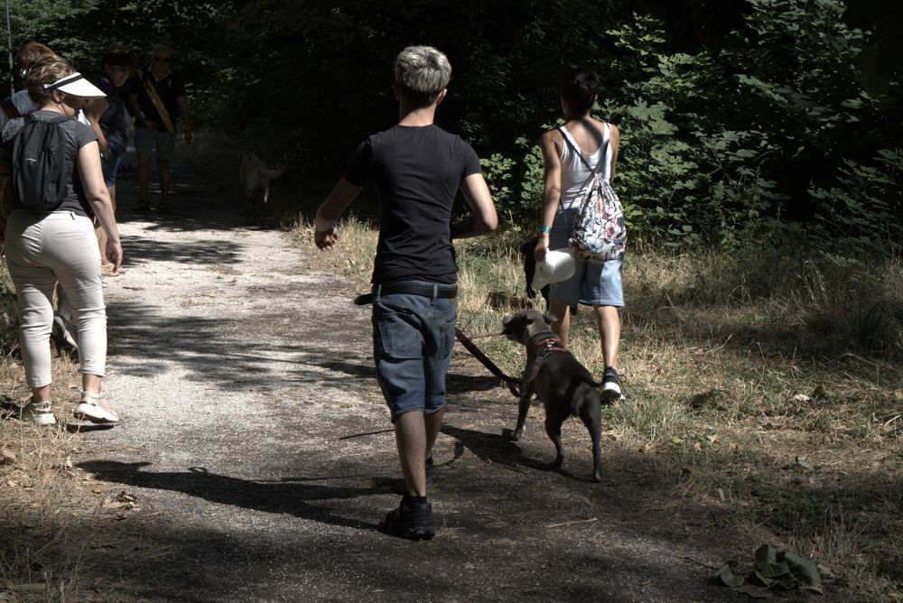 Il gruppo in passeggiata nel bosco