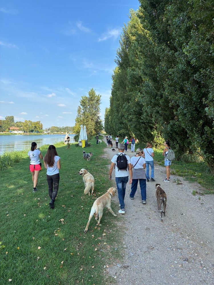 Il gruppo cammina lungo la riva del lago
