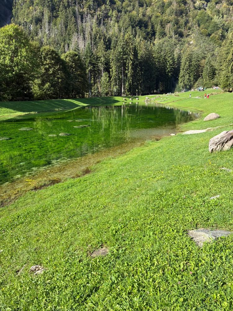 Il lago cristallino in mezzo al prato