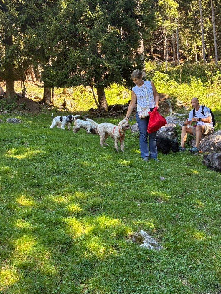 Il gruppo si riposa sul prato al sole