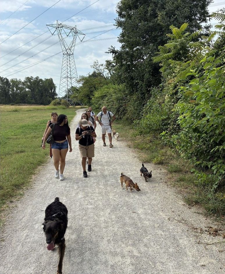 La passeggiata sullo sterrato