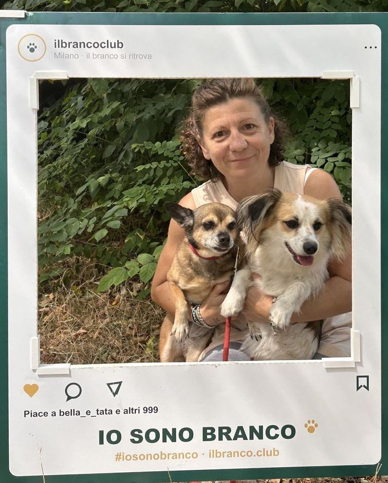 Due cani piccoli nella cornice «Io sono Branco»