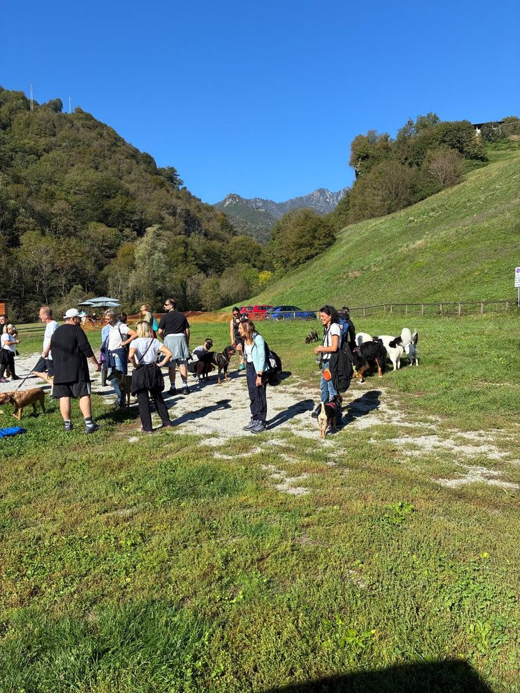 Il gruppo si ritrova sul prato in fondo alla valle