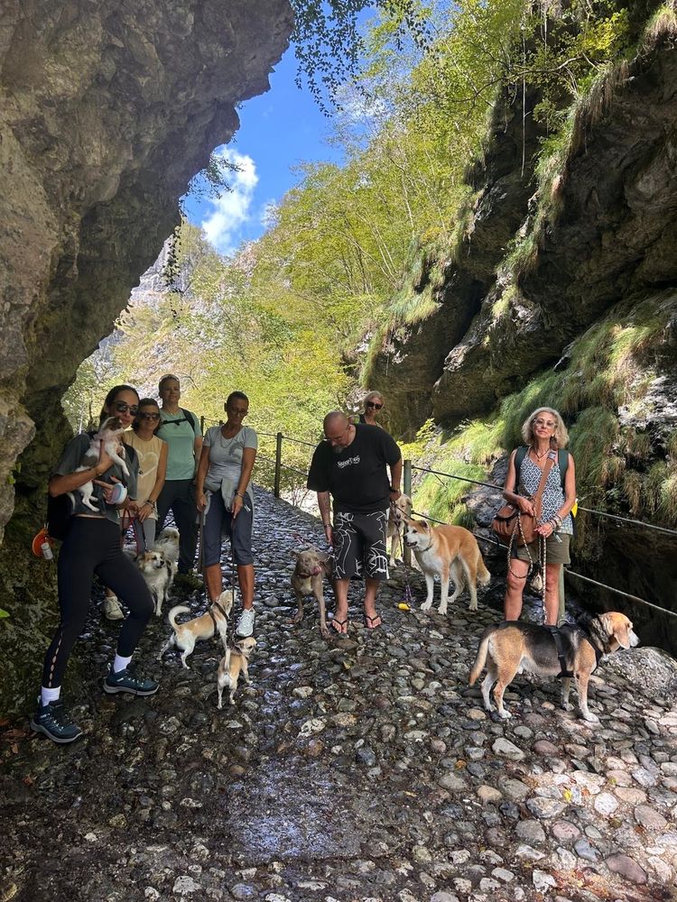 Il gruppo in fondo alla gola, fra le rocce