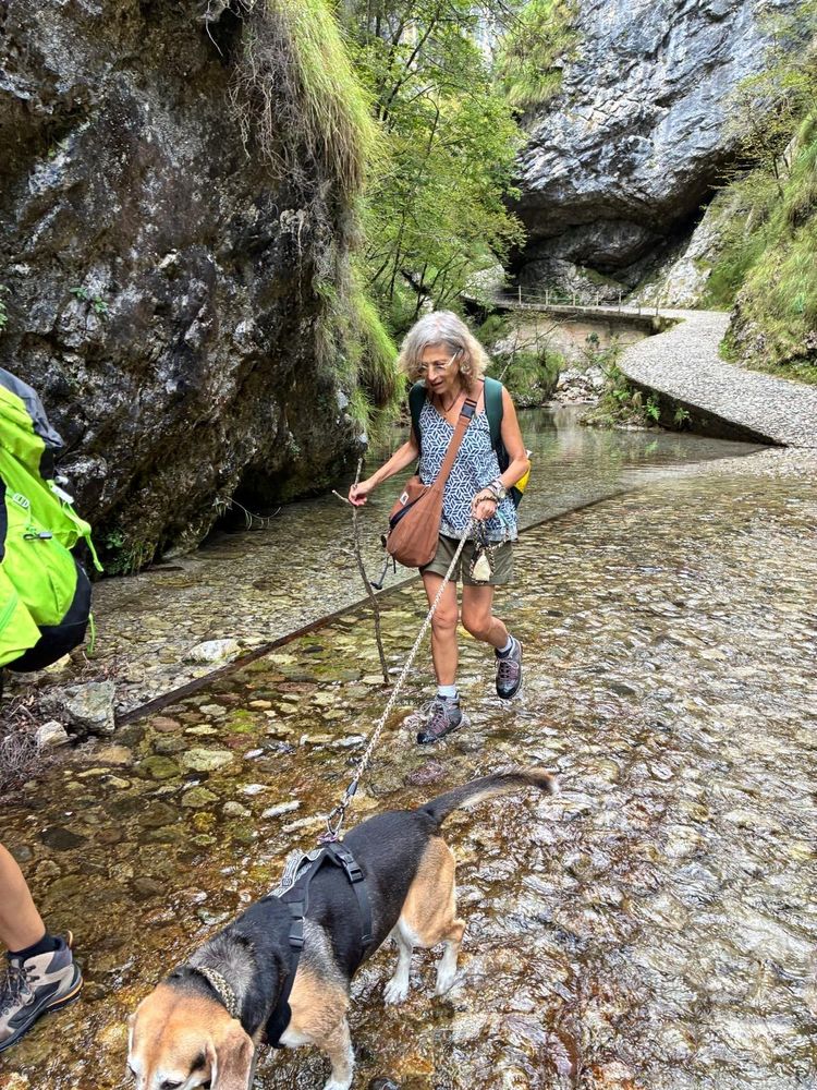 Si cammina nell'acqua bassa del torrente