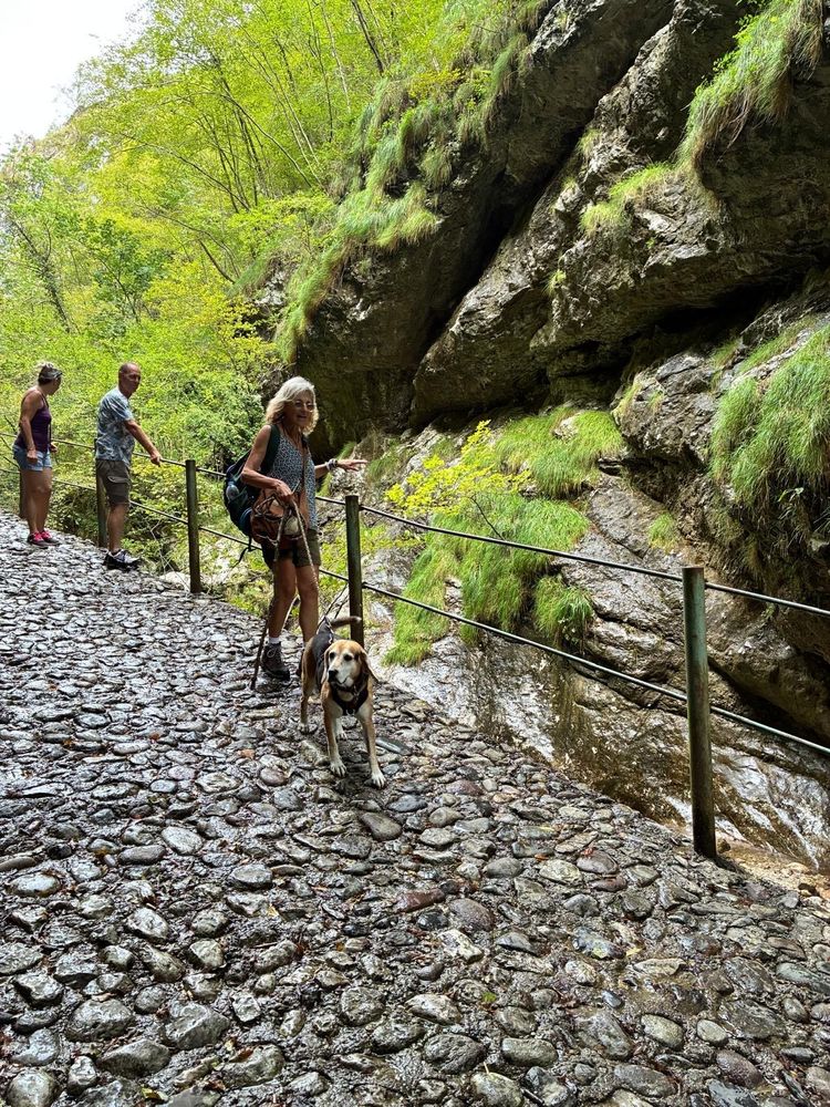 Il sentiero scavato nella roccia