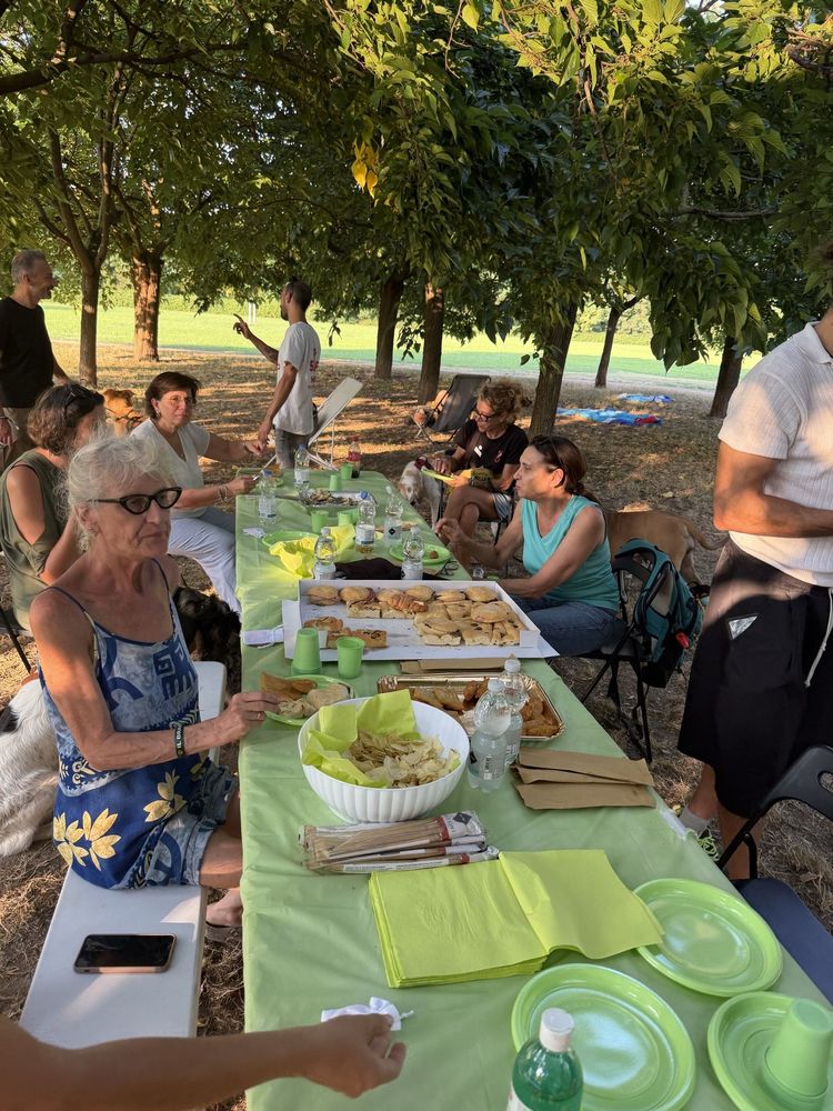 La tavolata del picnic sotto gli alberi