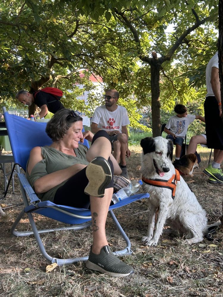 Relax sulle sdraio, coi cani accanto