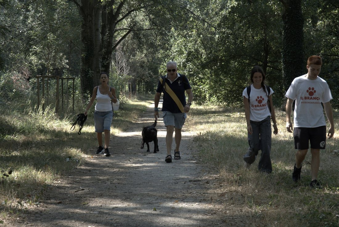 Il gruppo del Branco seduto insieme all'ombra degli alberi