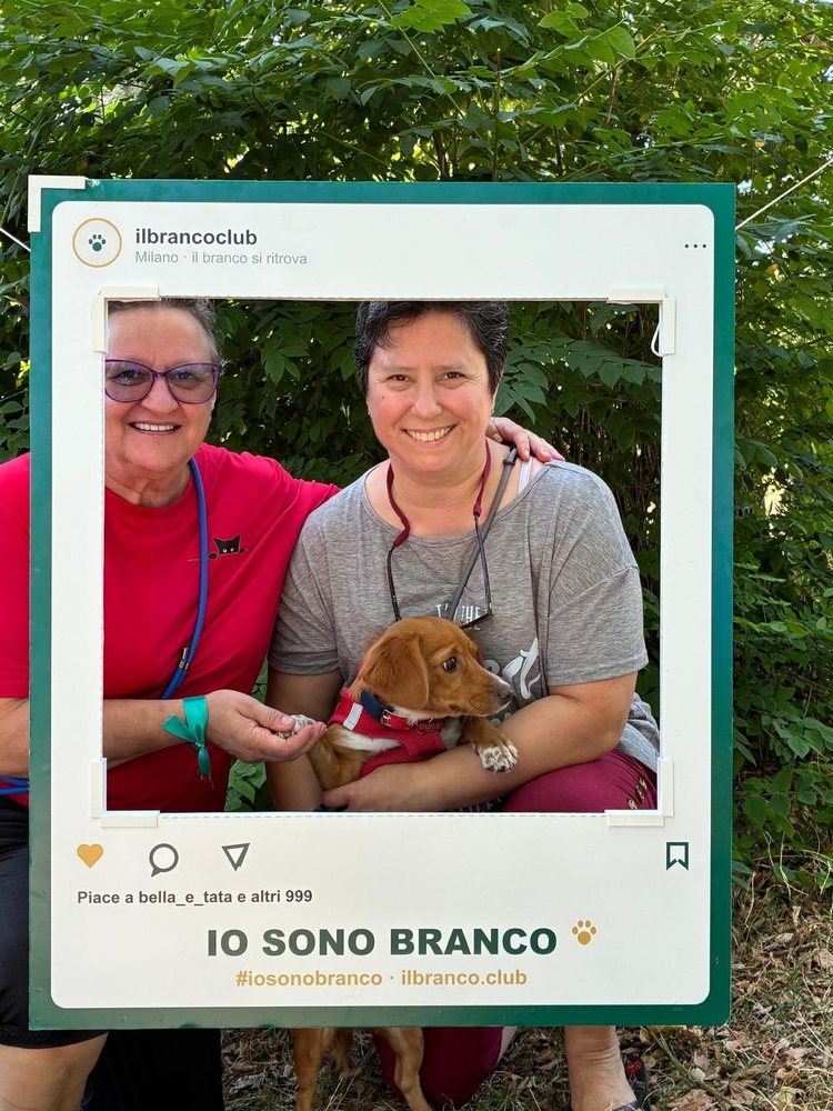 Un cucciolo in braccio nella cornice del Branco